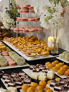 Lives in Music THE MOON ENTERTAINMENT