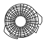 THE MOON ENT